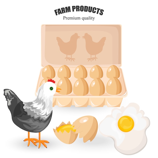 Vector free range eggs and chicken