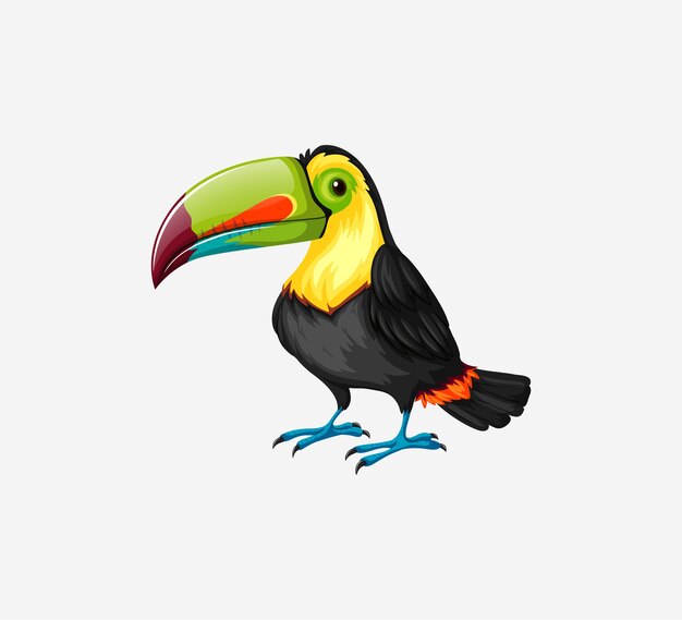 Vector free toucan cartoon character illustration exotic bird vector illustration isolated on white backgr