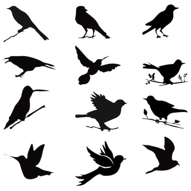 Vector free vector background with bird