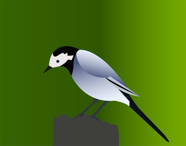 無料のベクトル鳥のシルエットコレクション ビジュアルデザインのための様々なベクトル鳥のコレクション