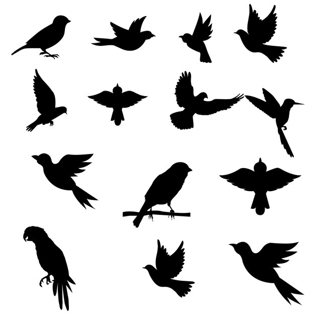 Free vector birds silhouette collection