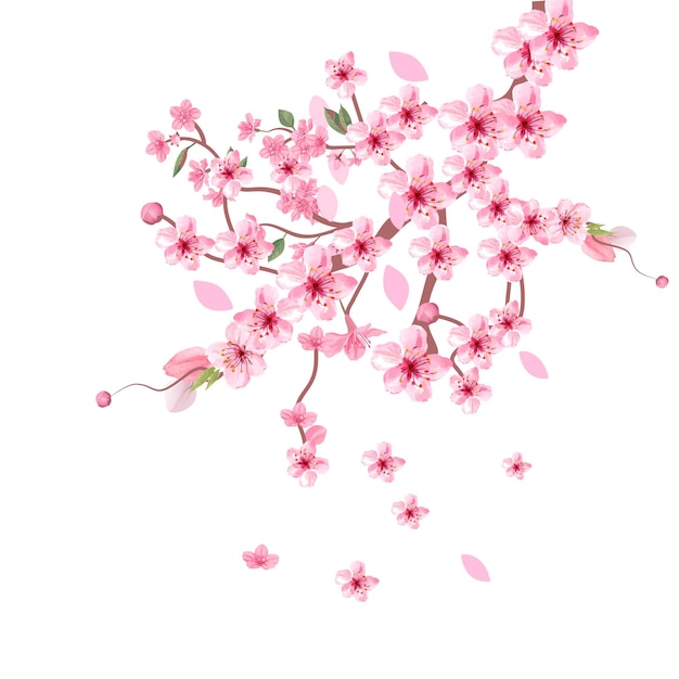 Free vector cherry blossom background