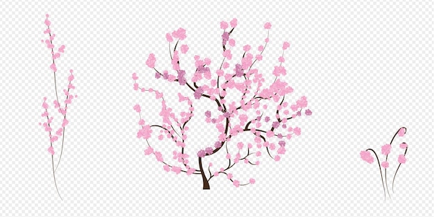 Free vector cherry blossom, sakura branch with pink flowers. Pink Flower tree.