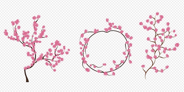 Бесплатный векторный вишневый цвет, ветка сакуры с розовыми цветами.