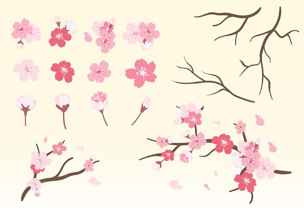 Free vector cherry blossoms collection illustration