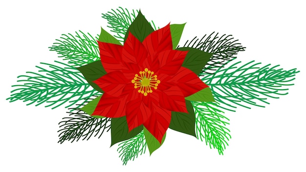 Free vector Christmas tree branches and red poinsettia flower in a holiday line arrangement isolated