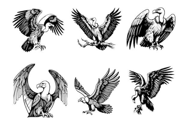 Free vector condor bird silhouette style line art illustration