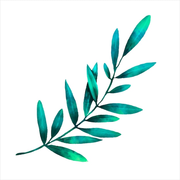 Vector free vector green leaves vector watercolor