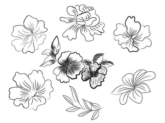 Vector free vector hand drawn butterfly outline pack