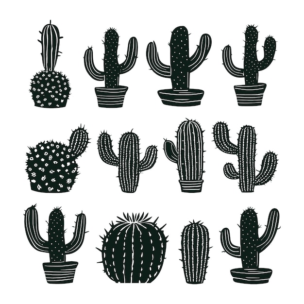 Vettore illustrazione di cactus disegnata a mano di vettore libero