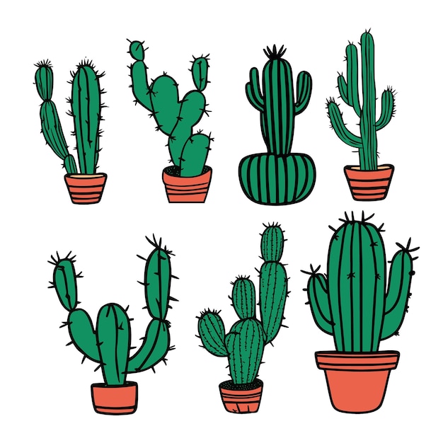 Illustrazione di cactus disegnata a mano di vettore libero