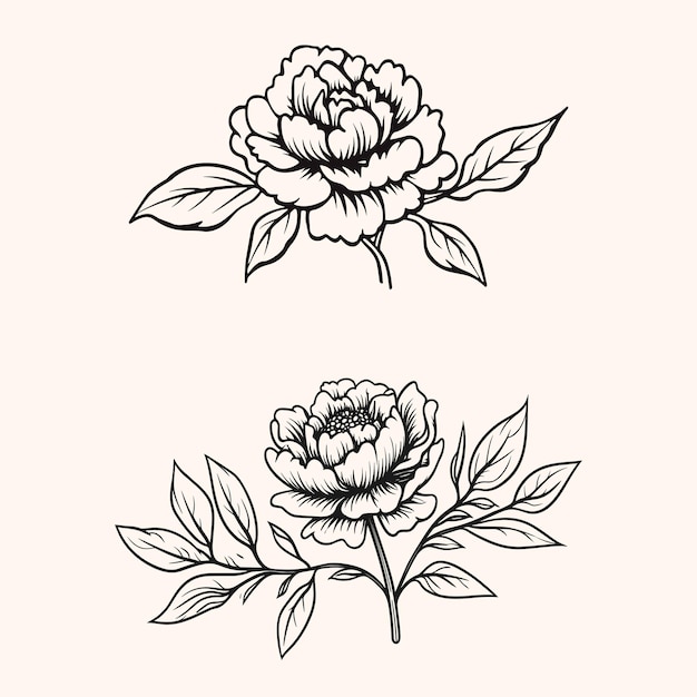 Vector free vector hand drawn floral decorative elements