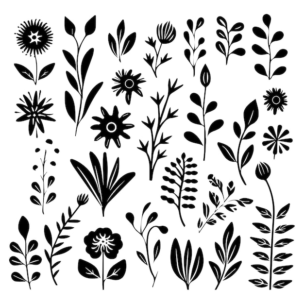 Free vector hand drawn floral and leaves decoration elements