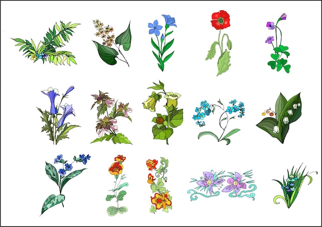 Vector free vector hand drawn spring flower collection