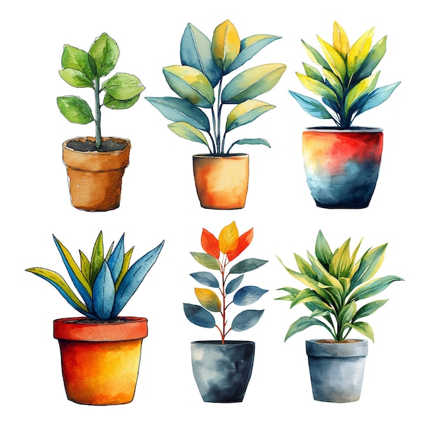 Free vector hand drawn watercolor indoor plants set