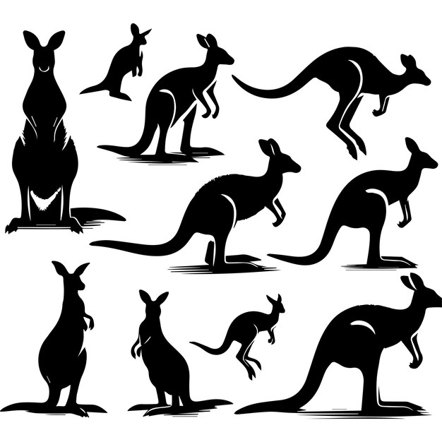 Vector free vector handdrawn cangaroo silhouette set within white background