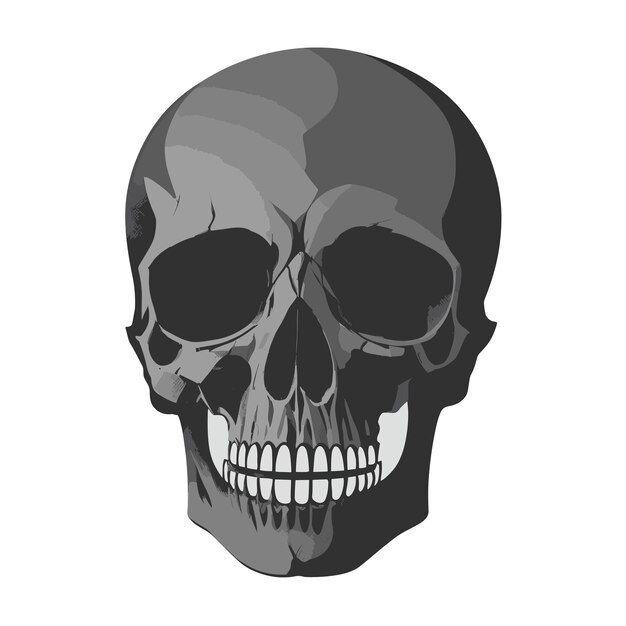 Свободный векторный силуэт черепа человека на хэллоуин