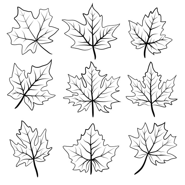 無料のベクター 線画と手描きの花の芸術の黒と白のフラットなデザインのシンプルな花