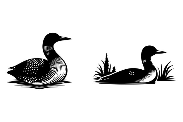 free vector loon silhouette vector art illustration with white background