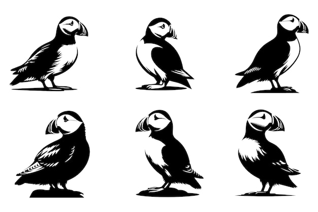 Vector free vector puffin bird silhouette style illustration art with white background