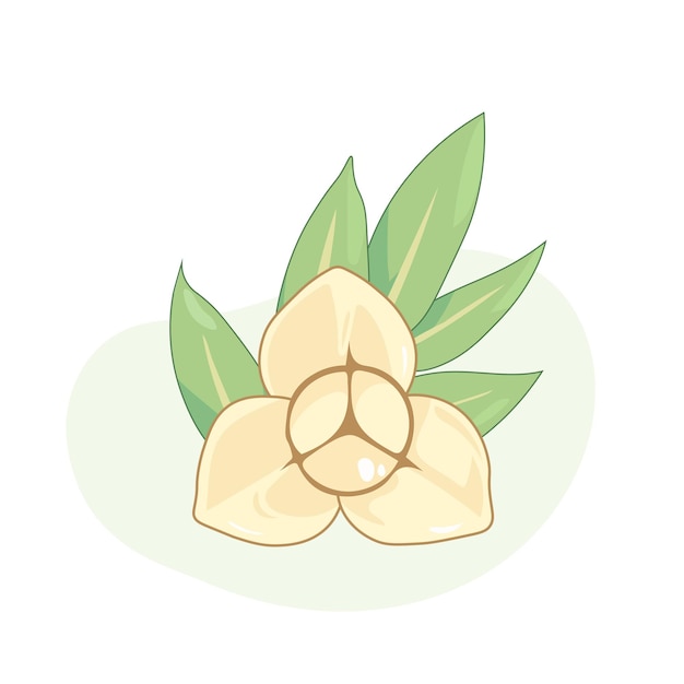 free_vector_romduol_flower_the_national_flower_of_cambodia