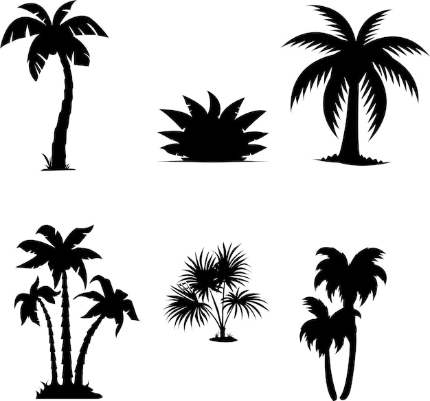 Vector free vector silhouettes of coconut tree