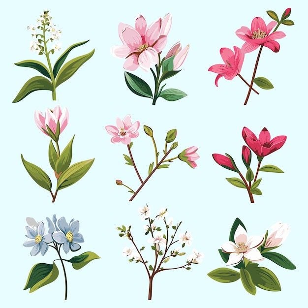 Free vector spring flower collection