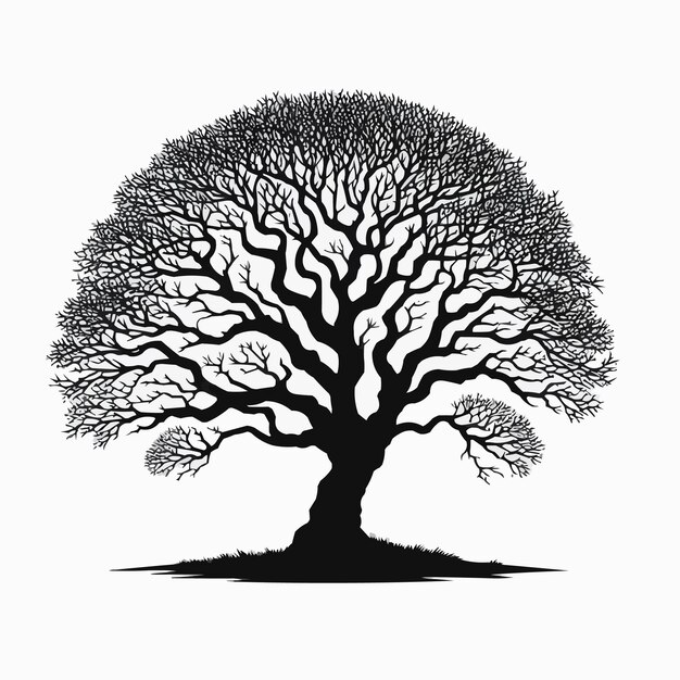 Vector free vector tree silhouette isolated on white background