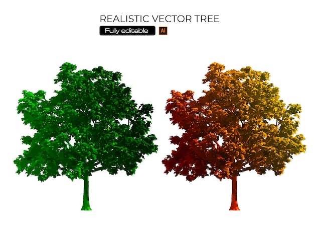 Vector free vector vintage oak tree illustration