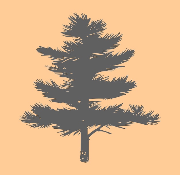 ベクトル 無料ベクトルヴィンテージ松の木