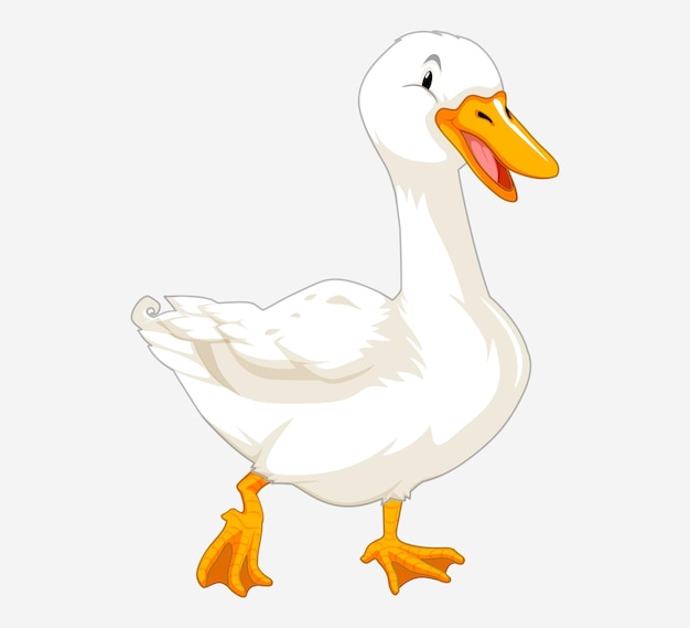 Vector free white duck with a white background