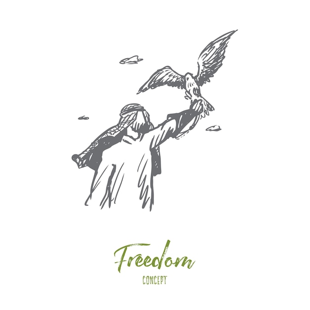 Freedom illustration in hand drawn