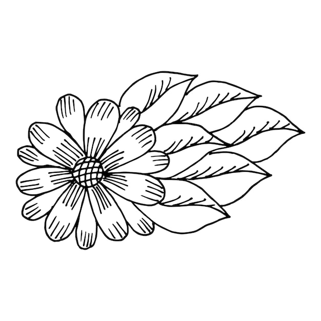 黒と白の花と葉のフリーハンド描画塗り絵のベクトル描画