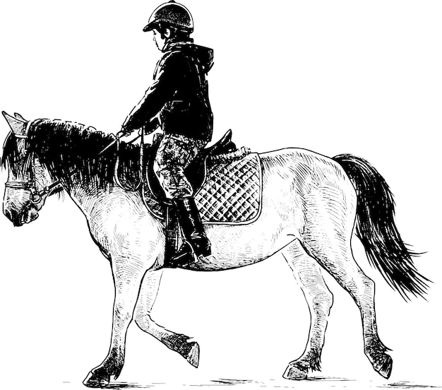 Freehand drawing of little boy horseback riding