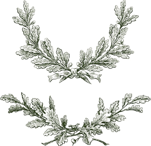 도토리와 리본이 있는 승리의 떡갈나무 가지의 자유형 그림