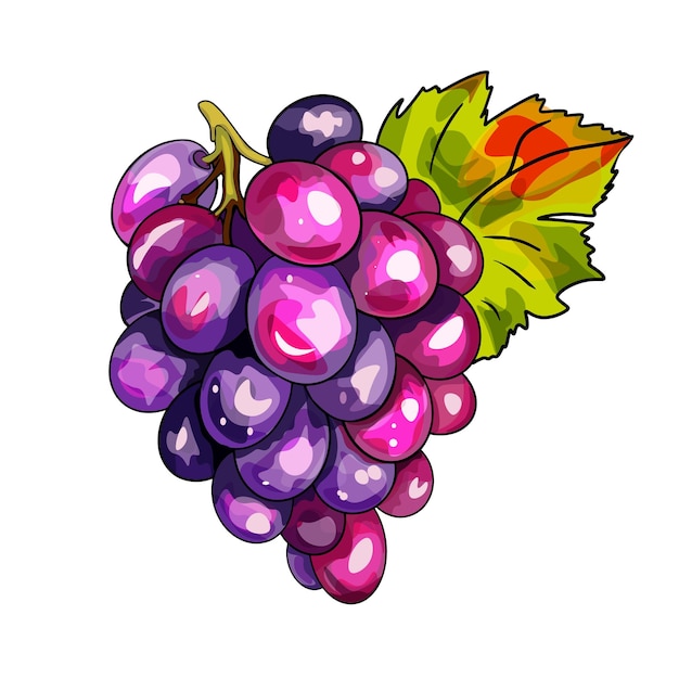 Freehand vector illustration Juicy grapes Bunch of grapes A blank for a designer a postcard a print