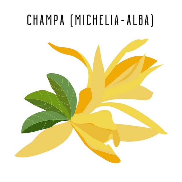 Freepik fiore di champa