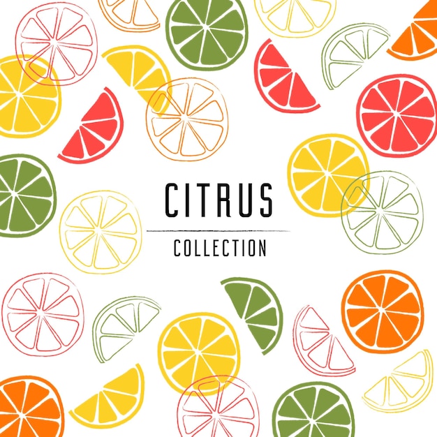 Freepik Fruit Citrus Collection