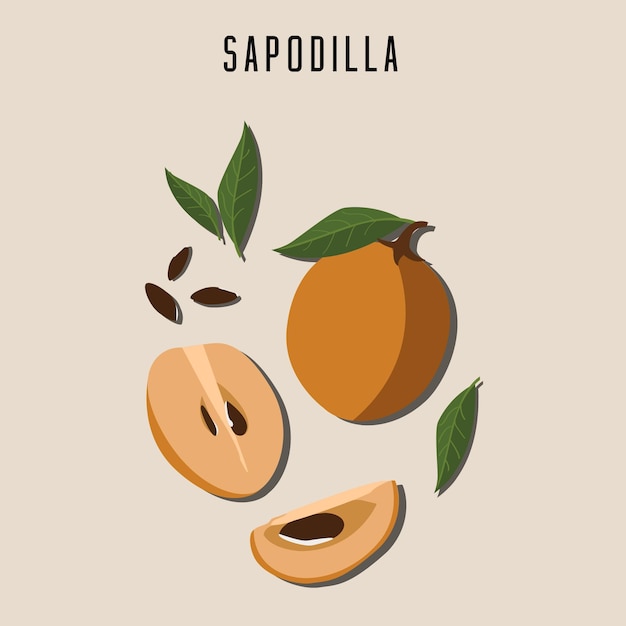 Freepik Sapodilla Chikoo