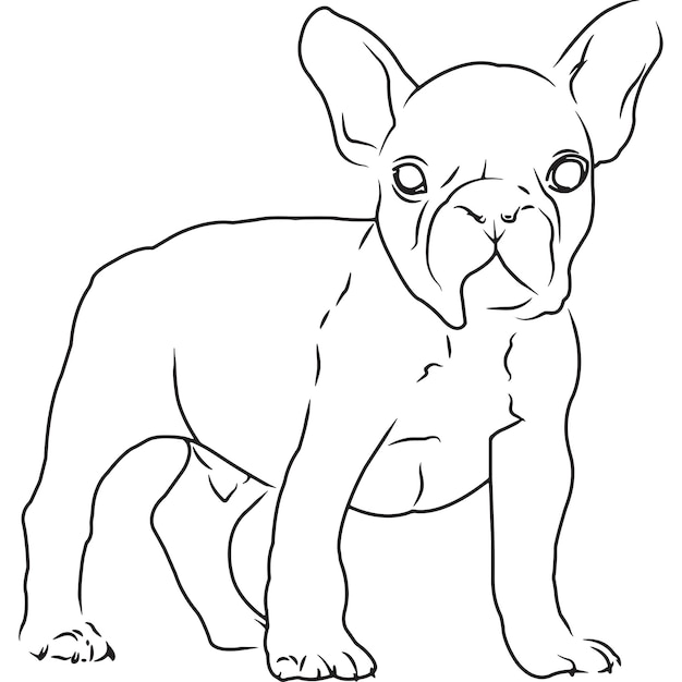 フレンチブルドッグ犬の手スケッチベクトル描画