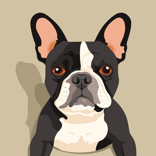 Vector french bulldog cute cards flat vector illustration