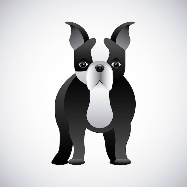 French bulldog design