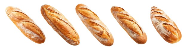 Вектор Вектор французского хлеба изолирован на белом фоне