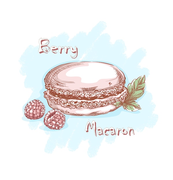 Vector french macaron in pink merengue with raspberries and mint leaves. sweets and desserts. hand sketching