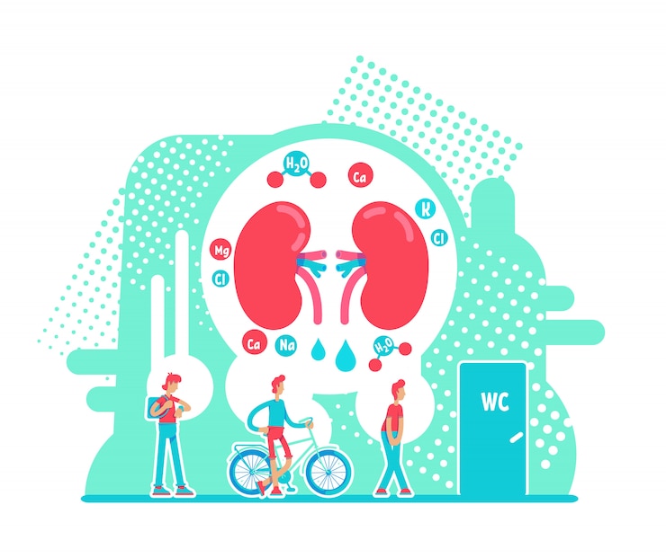 Vector frequent urination flat concept vector illustration. male internal organ health. chronic kidney disease 2d cartoon characters. problem with digestive system creative idea