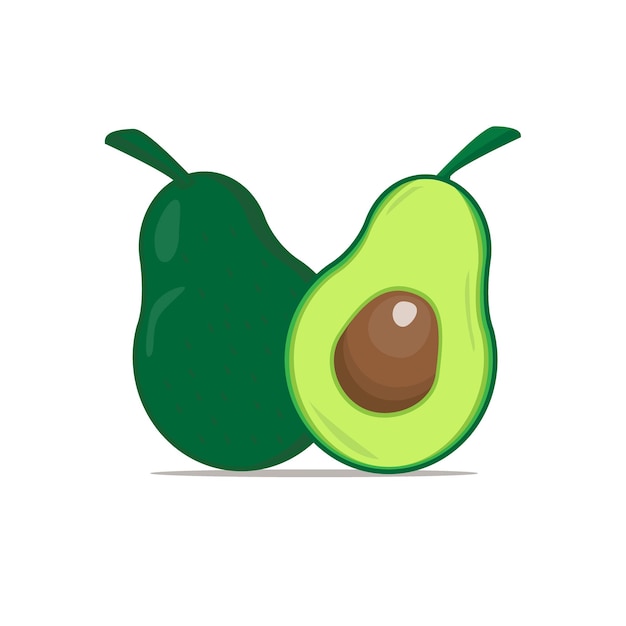 fresh avocado vector illustration eps10