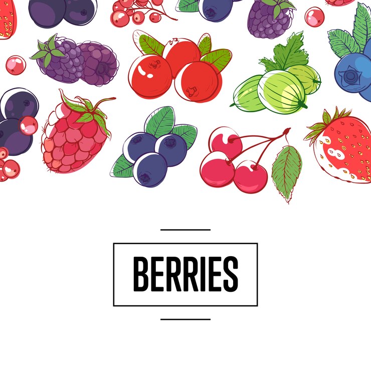 Vector fresh berries retail illustration