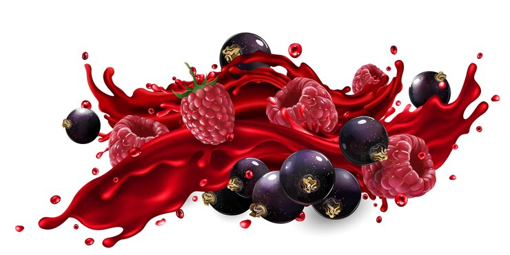 Vector fresh black currant and raspberry in a splash of fruit juice on a white background.