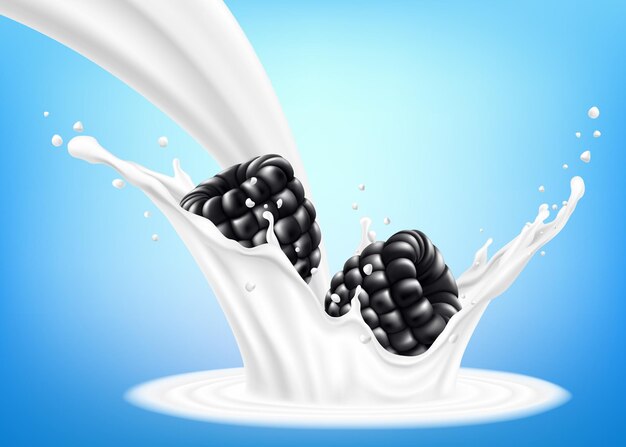 Fresh blackberry in a splash of milk or yogurt Fresh berry falls into the milk 3d realistic vector illustration isolated on blue background Sweet food Organic fruit