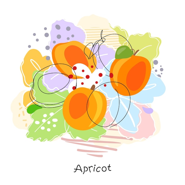 Fresh bright whole and halved apricots leaves fruits Doodle Minimal Style Handdrawn Set